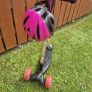 Scooter Image 2