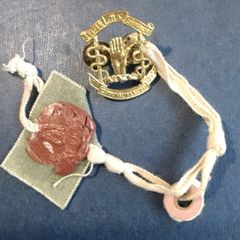 Eire   Army   Badge