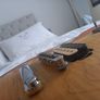 Gibson Gary Moore BFG Image 2