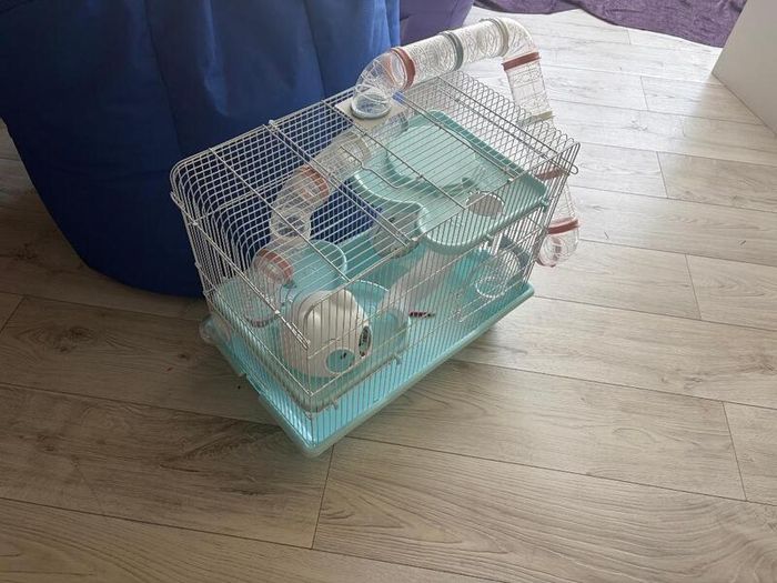 Hamster cage