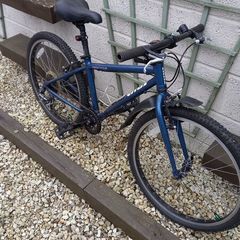 kids bike vitus 24