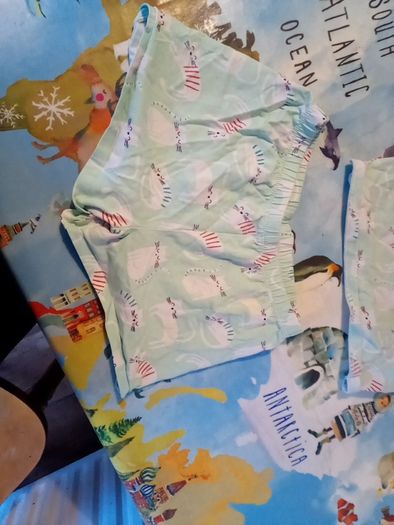 M&S mint green cat short pj