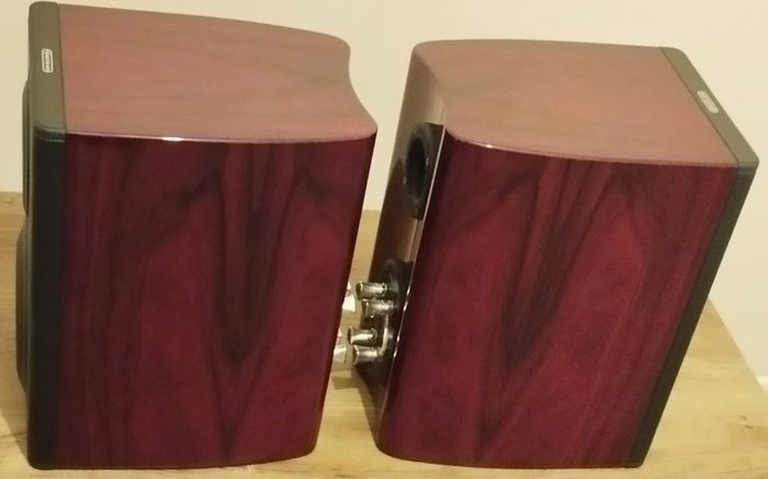High-End Speakers, Monitor Audio Platinum PL100 II (Including Custom  Stands)