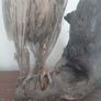 Antique Owl Image 7