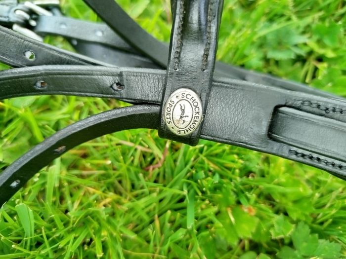 Shockemohle Bridle Head BLK Full