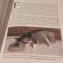 Siberian Huskies New Owners Guide, By Kathleen Kanzler, Hardcover Image 8