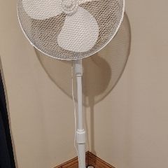Fan (16-inch)