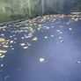 Trampoline 15ft x 9ft Image 2