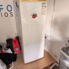 freestanding freezer
