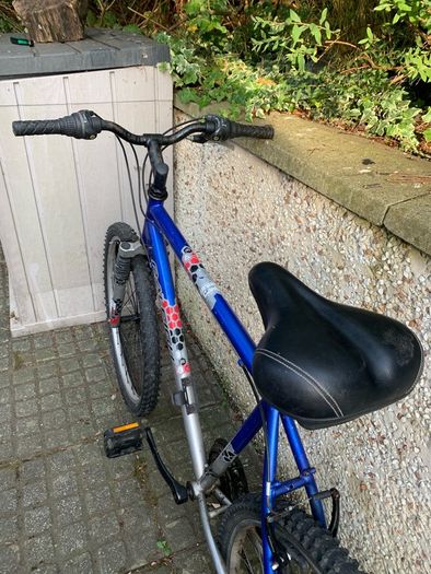 Men's Bike