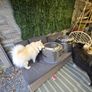 2 x Fire Pit Drums Image 4