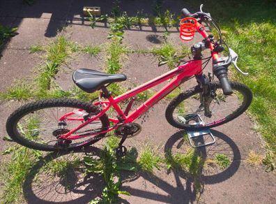 Team Pink Kids Bike
