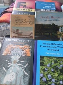 Irish interest