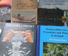 Irish interest