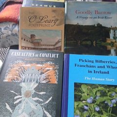 Irish interest