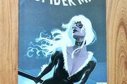 The Amazing Spider-Man 8 Issue LGY 972 2025 Marvel Comics Spiderman Black Cat Variant Edition