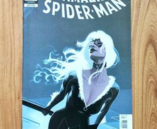 The Amazing Spider-Man 8 Issue LGY 972 2025 Marvel Comics Spiderman Black Cat Variant Edition