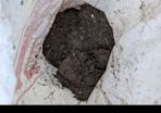 soil