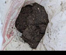 soil