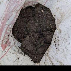 soil