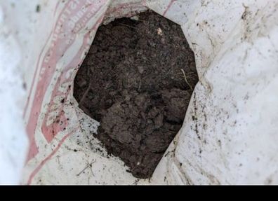 soil