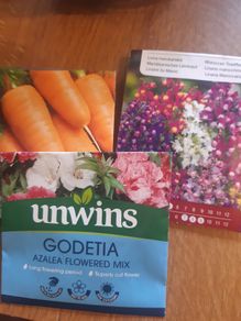 Seeds