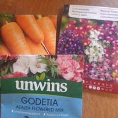 Seeds