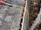 gutters cleaning, roof Cleaning + Pressure Washing, window 10% off now Image 9