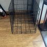 dog Image 2