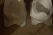 2 x potty