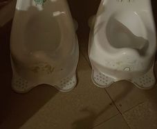 2 x potty