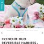 Frenchiebulldog harness Image 3