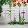Plant Support,T316 Stainless Steel Trellis for Climbing Plants, Professional System with Wall Brackets 16Holders, 24 m Rope Image 9