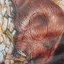Archery Target Faces Image 5