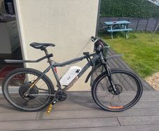 Ebike 1000W 48v 13ah back wheel drive electric bike mountain bike foldable bike