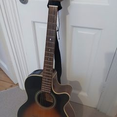 Takamine EG260C Acoustic Sunburst Reverb