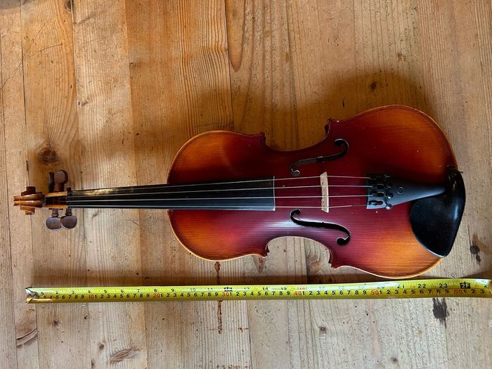 Violin