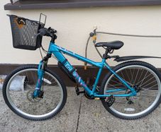 Apollo entice Bike
