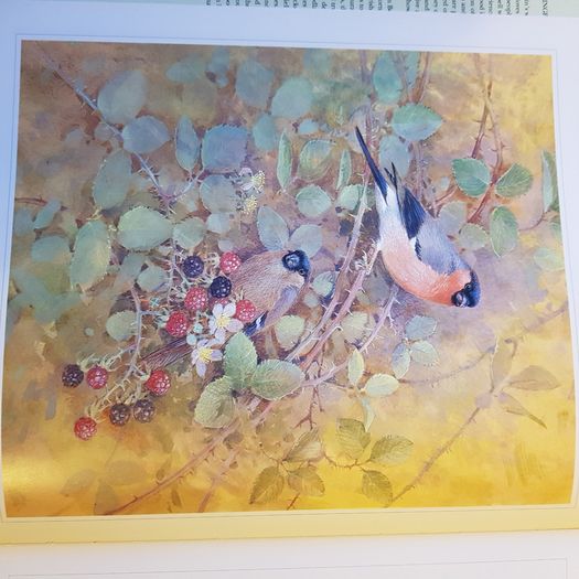 Beningfields Woodlands. Beautiful paintings by Gordan Beningfield of woodland and it birds and animals.