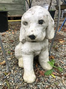 Garden Dog