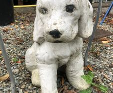 Garden Dog