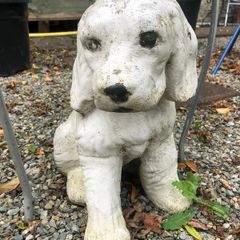 Garden Dog