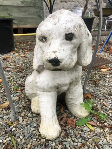 Garden Dog
