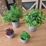 Artificial plants & pots Image 3