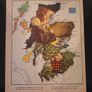 SALE!  VICTORIAN MAPS of the British Isles by David Smith Image 2
