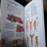 Jet Airliners early literacy book Image 3