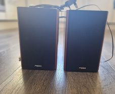 ricco speakers