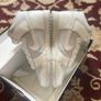 Nike Dunk High Summit Grey DJ6189-100 Image 4