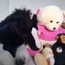 Free soft toys bundle Image 2