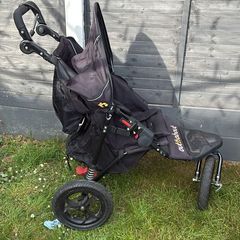 Single Buggy OutnAbout